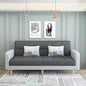 Minimalist Folding Sofa Bed